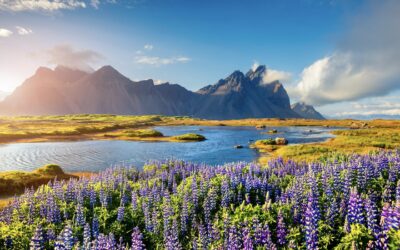 13-20 août 2023 : Voyage initiatique en Islande avec Luc Bodin