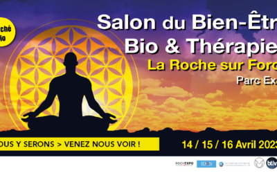 Samedi 15 avril (15-17h) : Conférence de Luc Bodin à La Roche sur Foron (proche Annecy)