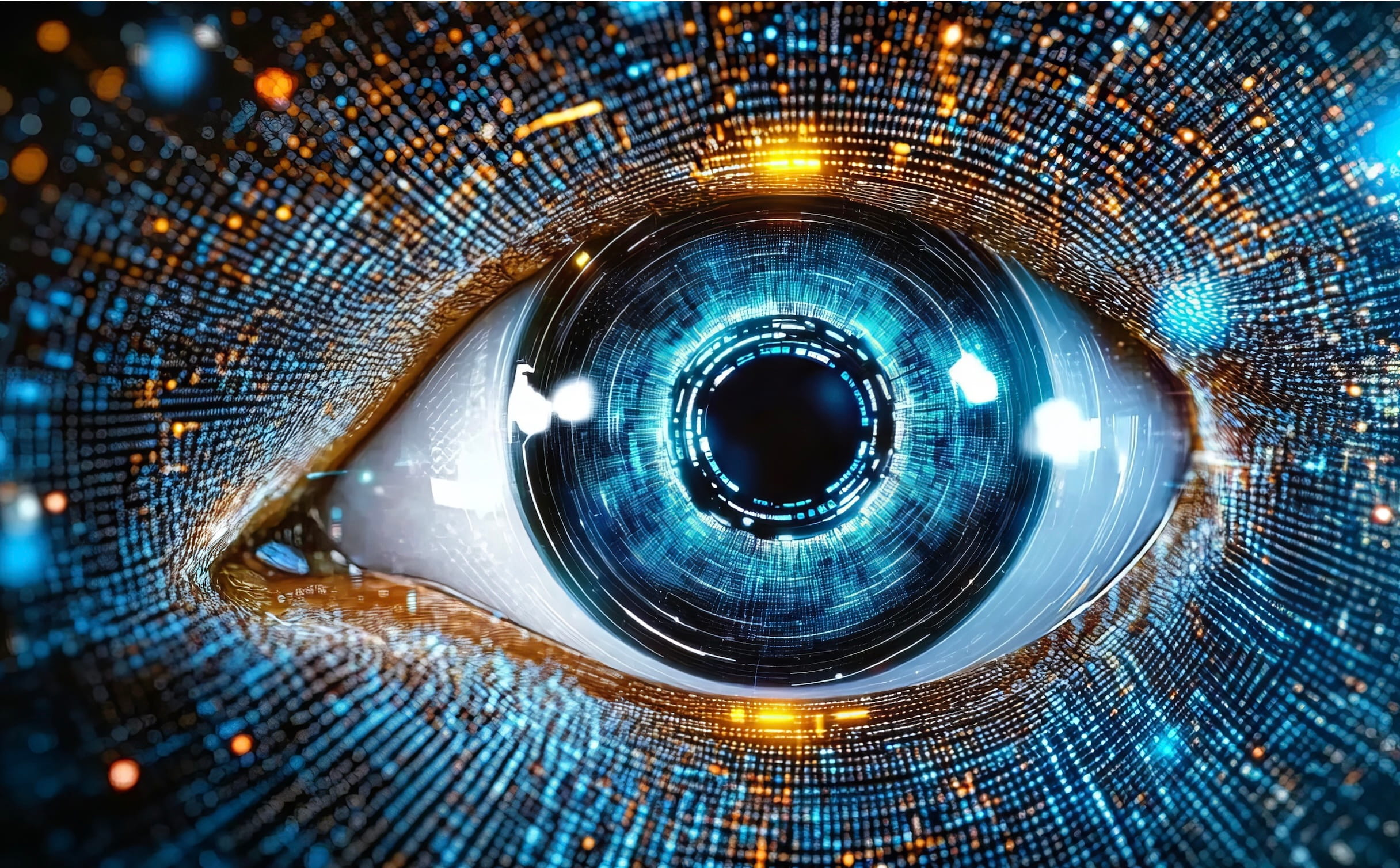 SURVEILLANCE INFORMATIQUE(1)
